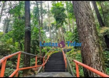 Gunung Tidar: Destinasi Wisata Sejarah dan Spiritual di Jantung Magelang