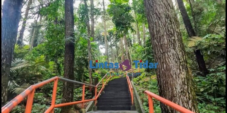 Gunung Tidar: Destinasi Wisata Sejarah dan Spiritual di Jantung Magelang