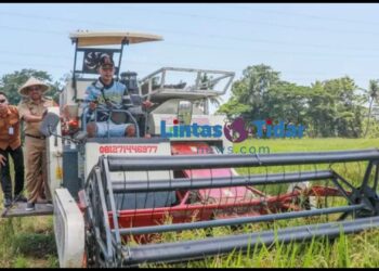 Pemprov Jateng Optimalkan Pertanian untuk Sokong Kebutuhan Nasional