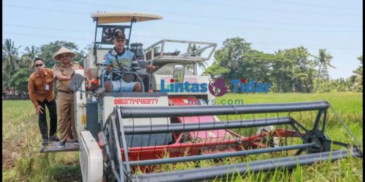 Pemprov Jateng Optimalkan Pertanian untuk Sokong Kebutuhan Nasional