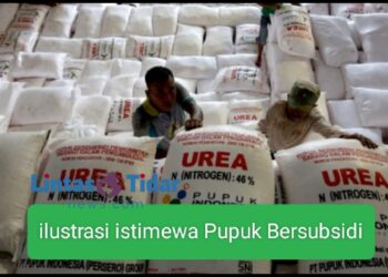 Petani Serbu Pupuk Subsidi: 9,2 Juta Ton Ludes dalam Tiga Hari!