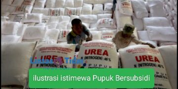Petani Serbu Pupuk Subsidi: 9,2 Juta Ton Ludes dalam Tiga Hari!
