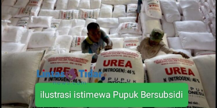 Petani Serbu Pupuk Subsidi: 9,2 Juta Ton Ludes dalam Tiga Hari!