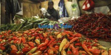 Harga Cabai Melonjak, Konsumen Menjerit, Pemerintah Diminta Turun Tangan!