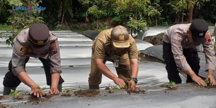 Inisiatif Polsek dan Petani Milenial Candimulyo: Bangun Ketahanan Pangan