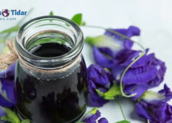 Kombucha Bunga Telang: Minuman Hits yang Bisa Taklukkan Kolesterol!