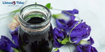 Kombucha Bunga Telang: Minuman Hits yang Bisa Taklukkan Kolesterol!