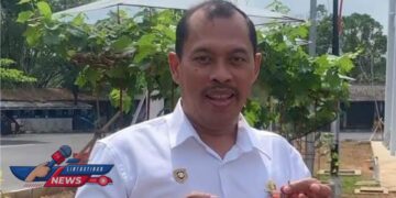 Terminal Tidar Kota Magelang Kini Punya Kebun Anggur dan Kafe Estetik, Jadi Destinasi Baru Warga