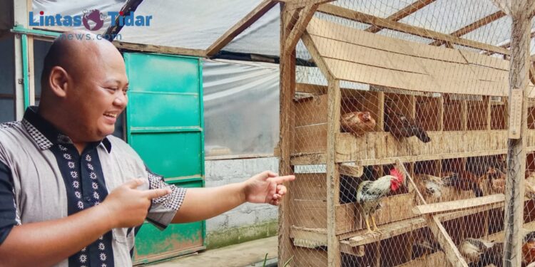 Azar Anas Buktikan Keberhasilan Budidaya Ayam KUB