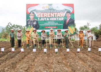 Dukung Ketahanan Pangan Nasional, Polresta Magelang Tanam Jagung Serentak