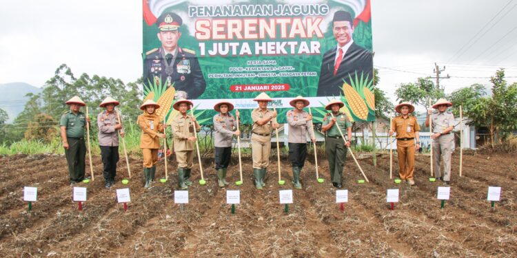 Dukung Ketahanan Pangan Nasional, Polresta Magelang Tanam Jagung Serentak