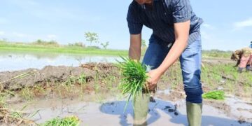 Pers dan Ketahanan Pangan, Seyogyanya Aksi Nyata Bukan Sekadar Tema