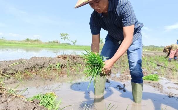 Pers dan Ketahanan Pangan, Seyogyanya Aksi Nyata Bukan Sekadar Tema