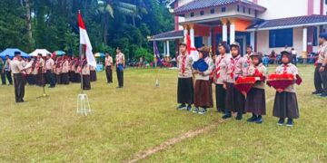 Pesta Siaga Candimulyo: Semangat, Gembira, dan Jiwa Patriotisme Berkobar!