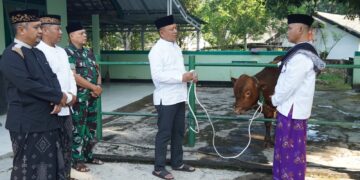 Semangat Berkurban, Akademi Militer Bagikan 726 Paket Daging Idul Adha kepada Warga Sekitar