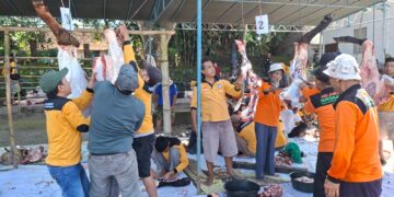 PRM Gunungpring Sembelih 77 Hewan Kurban di Idul Adha 1446 H