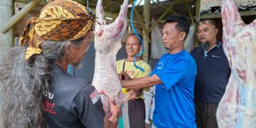 Kolaborasi Kebaikan: A-PPI Magelang Raya dan Yayasan Bilal Bin Rabah Salurkan Daging Kurban hingga Hari Tasrik Terakhir