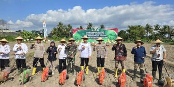 Polresta Magelang Tanam Jagung Serentak