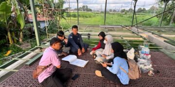 Mahasiswa UGM Ciptakan Alat Pemantau Domba Otomatis Berbasis IoT di Bantul